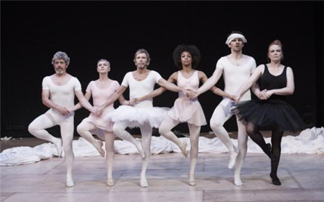 The Seagull and Other Birds