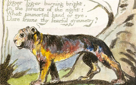 Cantori New York: Tyger Tyger