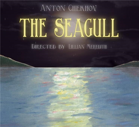 The Seagull