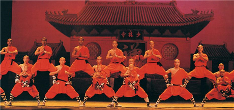 Shaolin Warriors: Return of the Master