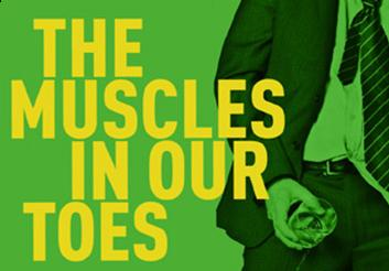 The Muscle in our Toes