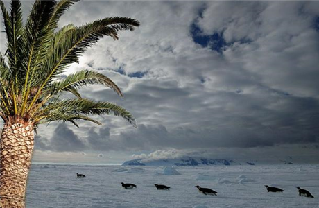 In Antarctica, Where It Is Very Warm