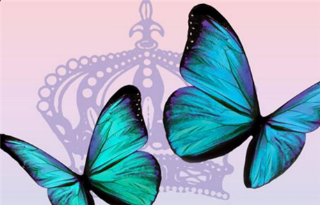 Iolanthe: Blue Hill Troupe