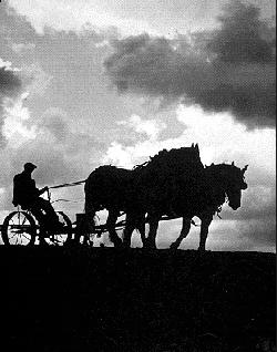 Who'll Save the Plowboy