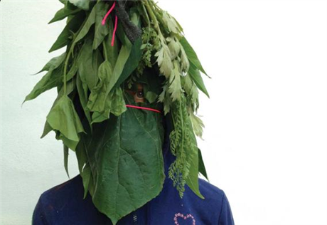 Weed Heart: jill sigman/thinkdance