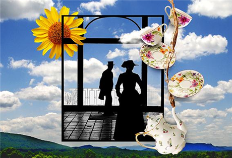 The Wharton Comedies