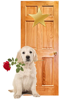 The Dog in the Dressing Room