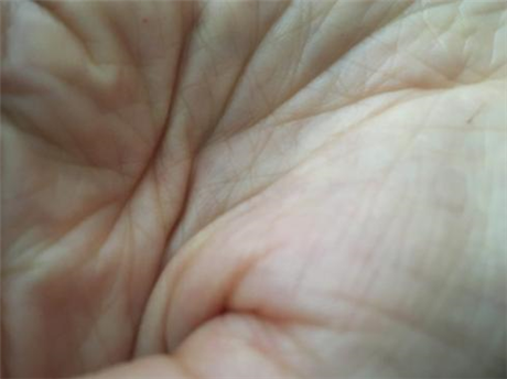 Eleanor Bauer: A lot of moving parts