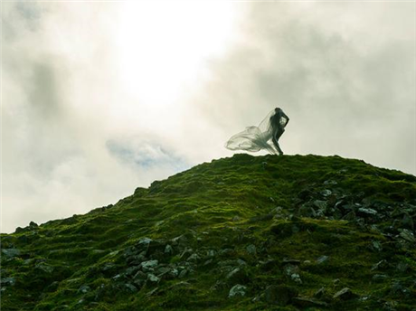 Wildflowers ââ‚¬â€œ A Feminine Genesis