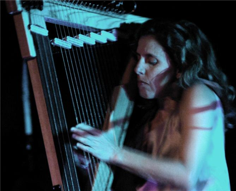 Zeena Parkins: Captiva