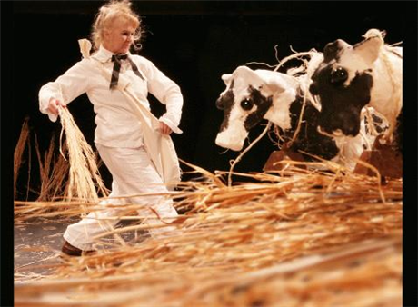 fools in plein air: fermented rain