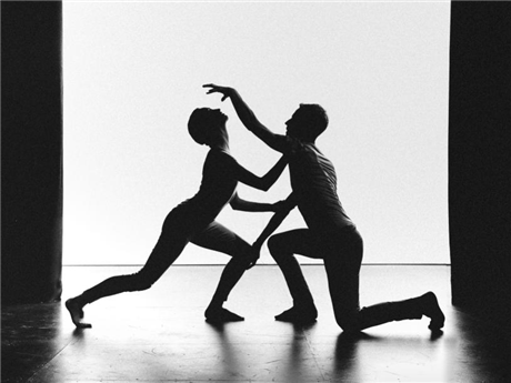 Plexus: a work in knots