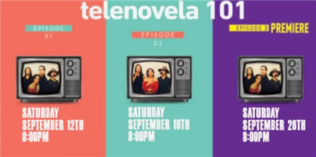 Telenovela 101