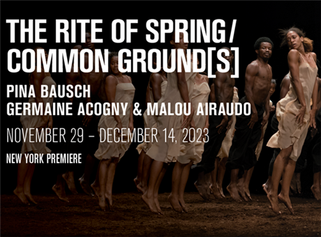 The Rite of Spring / common ground[s]
