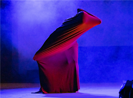 Tatiana Desardouin & Passion Fruit Dance Company: Trapped