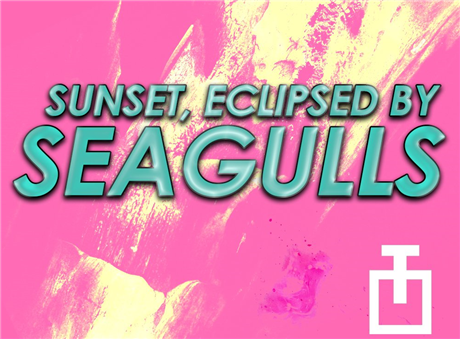 Sunset, Eclipsed by Seagulls