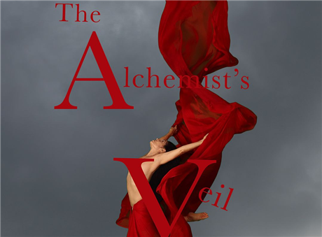 The Alchemist's Veil