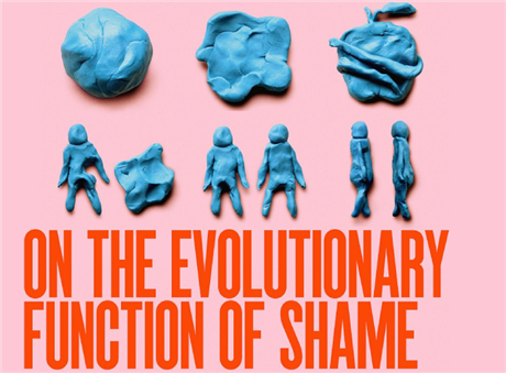 On the Evolutionary Function of Shame