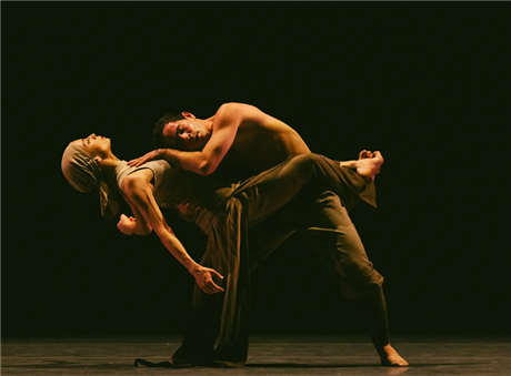 Fall for Dance Festival 2025
