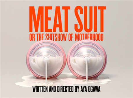 Meat Suit, or the shitshow of motherhood