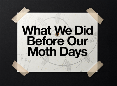 What We Did Before Our Moth Days