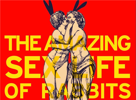 The Amazing Sex Life of Rabbits