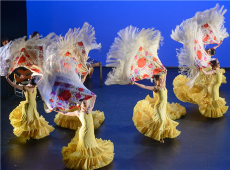 Flamenco Festival 2027