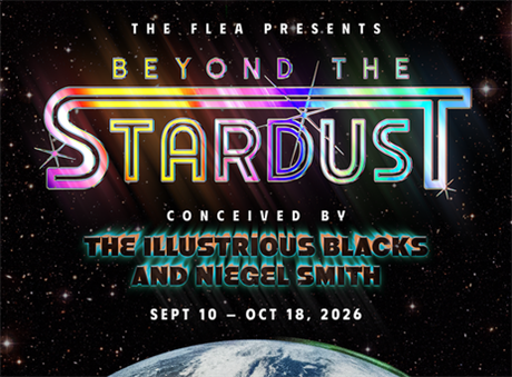 Beyond the Stardust
