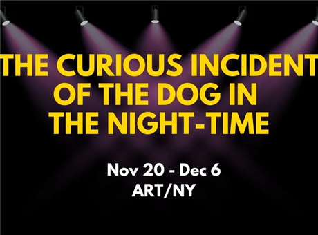 The Curious Incident of the Dog in the Night-Time