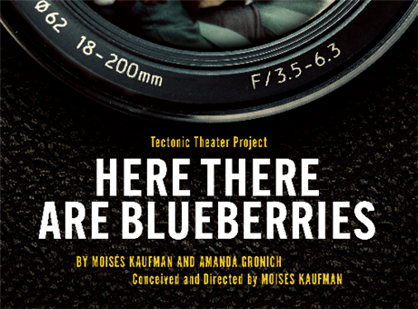 Here There Are Blueberries