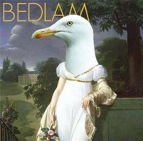 The Seagull