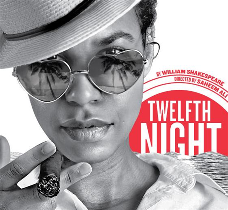 Twelfth Night, Or What You Will 